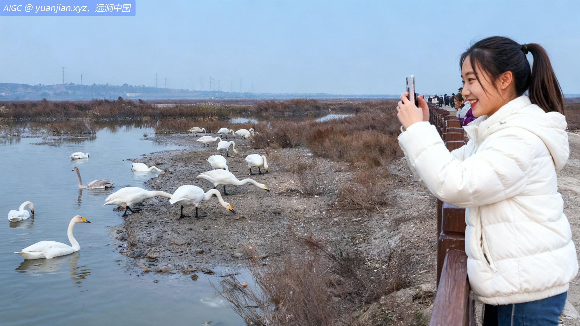 大批野生大天鹅飞抵山西省运城市盐湖湿地越冬
