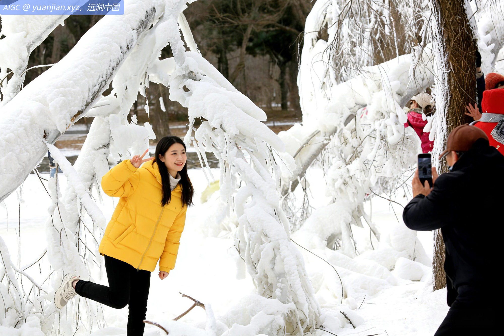 辽宁省沈阳市北陵公园内银装素裹