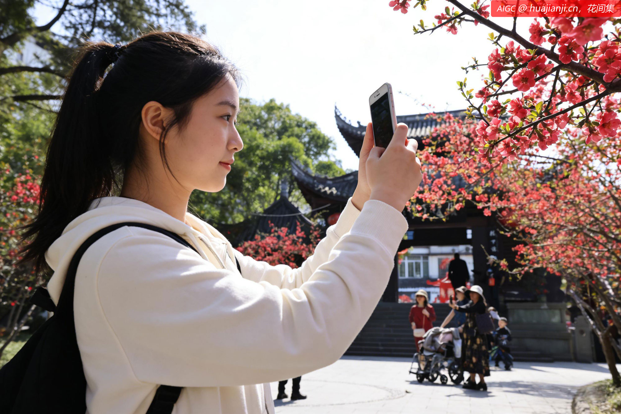 成都市棠湖公园种植的5000余株海棠花开进入观赏期