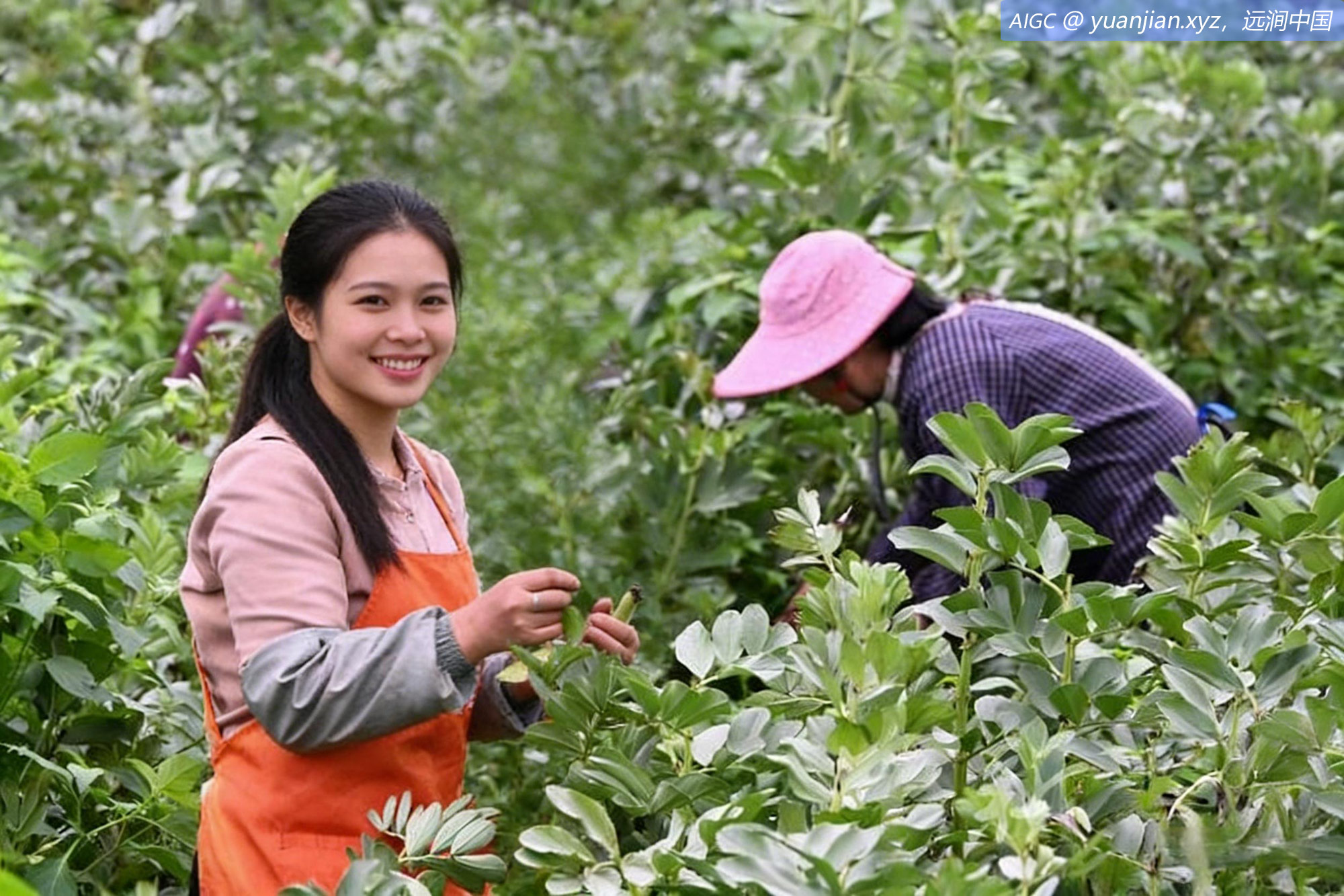 yuanjian20260330.jpg yuanjian20260330.jpg